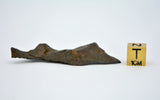 17.1 gram CANYON DIABLO meteorite - IAB Iron Meteorite