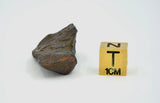 19.1 gram CANYON DIABLO meteorite - IAB Iron Meteorite