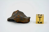 24.4 gram CANYON DIABLO meteorite - IAB Iron Meteorite