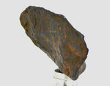 25.3 gram CANYON DIABLO meteorite - IAB Iron Meteorite