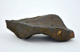 31.5 gram CANYON DIABLO meteorite - IAB Iron Meteorite