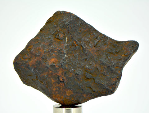 37.5 gram CANYON DIABLO meteorite - IAB Iron Meteorite
