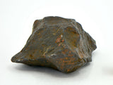 41.5 gram CANYON DIABLO meteorite - IAB Iron Meteorite