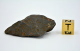 41.5 gram CANYON DIABLO meteorite - IAB Iron Meteorite