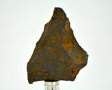 43.3 gram CANYON DIABLO meteorite - IAB Iron Meteorite