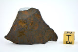43.3 gram CANYON DIABLO meteorite - IAB Iron Meteorite