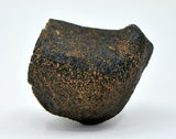 55.79g HED Achondrite Meteorite | Amazing Howardite