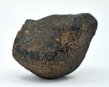 55.79g HED Achondrite Meteorite | Amazing Howardite