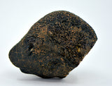 55.79g HED Achondrite Meteorite | Amazing Howardite