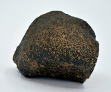 55.79g HED Achondrite Meteorite | Amazing Howardite