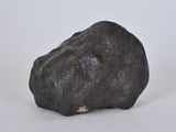 32.53g KSAR El GORAANE - H5  Moroccan Meteorite Fall Oct 2018