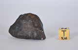 35.49g KSAR El GORAANE - H5  Moroccan Meteorite Fall Oct 2018