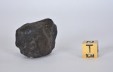 35.49g KSAR El GORAANE - H5  Moroccan Meteorite Fall Oct 2018