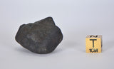 38.84g KSAR El GORAANE - H5  Moroccan Meteorite Fall Oct 2018