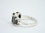 Lunar and Martian Ring - The Plures Mundos Collection - Hand Crafted Meteorite Jewelry