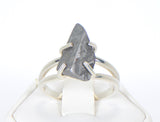 Beautiful Etched Gibeon Meteorite ring I Size 9  - Meteorite Jewelry