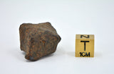 38.5 gram MUNDRABILLA meteorite - Iron Meteorite