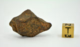 38.5 gram MUNDRABILLA meteorite - Iron Meteorite