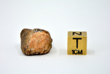 18.5 gram MUNDRABILLA meteorite - Iron Meteorite
