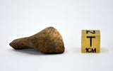 18.5 gram MUNDRABILLA meteorite - Iron Meteorite