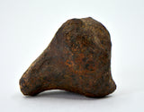 28.8 gram MUNDRABILLA meteorite - Iron Meteorite