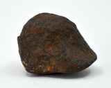 36.4 gram MUNDRABILLA meteorite - Iron Meteorite