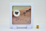0.59g Martian Meteorite in Display Frame I Amazing piece of MARS I NWA 10441