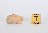 Aubrite Achondrite 1.66g Meteorite Fragment I NWA 13304
