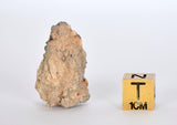 Aubrite Achondrite 8.3g Meteorite Fragment I NWA 13304