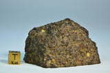 L3.15 Primitive Chondrite| 153g Main Mass | TYPE 3 OC Meteorite - NWA 11340
