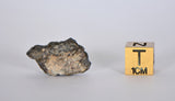 3.04g Lunar Meteorite I Lunar Breccia I NWA 11788