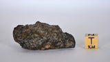 33.45g Lunar Meteorite I Lunar Breccia I NWA 11788
