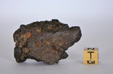 33.45g Lunar Meteorite I Lunar Breccia I NWA 11788