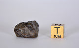 7.38g Lunar Meteorite I Lunar Breccia I NWA 11788