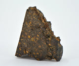 20.63g CR2 Carbonaceous Chondrite Meteorite I NWA 1180