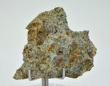 7.96g Lodranite Rare Primitive Achondrite Meteorite Slice  I NWA 11901