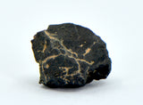 1.11g Carbonaceous Chondrite C3-ung I NWA 12416