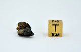 1.16g Carbonaceous Chondrite C3-ung I NWA 12416