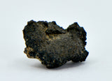 1.36g Carbonaceous Chondrite C3-ung I NWA 12416