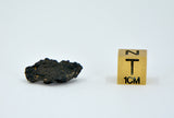 1.46g Carbonaceous Chondrite C3-ung I NWA 12416