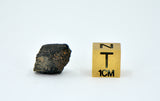 1.66g Carbonaceous Chondrite C3-ung I NWA 12416