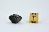 1.66g Carbonaceous Chondrite C3-ung I NWA 12416
