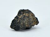 2.06g Carbonaceous Chondrite C3-ung I NWA 12416