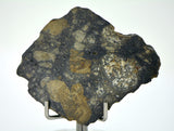 11.24g Eucrite Slice Monomict Basaltic Breccia