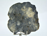 22.70g Eucrite Slice Monomict Basaltic Breccia