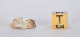1.121g Aubrite Achondrite Meteorite Fragment I NWA 13304