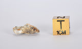 1.177g Aubrite Achondrite Meteorite Fragment I NWA 13304
