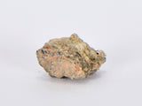 Aubrite Achondrite 0.59g Meteorite Fragment I NWA 13304