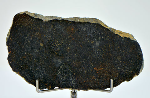 33.11g NWA 13758 - R3 Chondrite Meteorite Slice