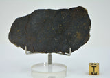 33.11g NWA 13758 - R3 Chondrite Meteorite Slice